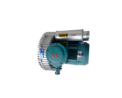 防爆系列旋渦氣泵